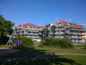 Dach, Fenster